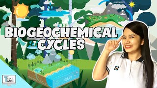 Biogeochemical Cycles  Biology [upl. by Cattan]