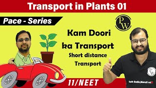 Transport in Plants 01 Short Distance Transport  Class 11  NEET Pace Series [upl. by Sokcin]