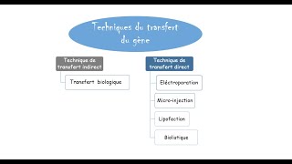 2de  Transgénèse  souris verte [upl. by Milstone]