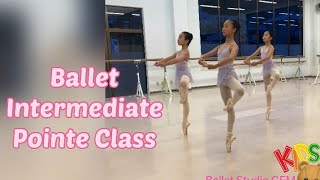 Ballet intermediate Pointe Class [upl. by Nnalatsyrc]