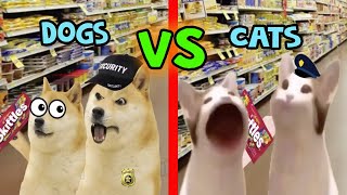 Skittles MEME Doge VS Pop Cat [upl. by Quenna]