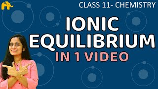 Ionic Equilibrium Chemistry Class 11 Chapter One Shot CBSE NEET JEE [upl. by Eimile]