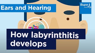 How labyrinthitis develops  Bupa Health [upl. by Aicilec]