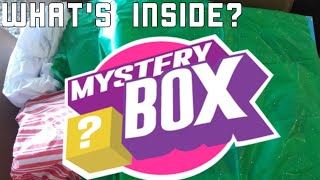 I Bought The Worlds Largest Mystery Box 500000 [upl. by Mooney]