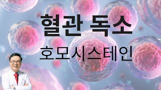 혈관 독소 호모시스테인을 물리치는 비타민 [upl. by Hulburt]