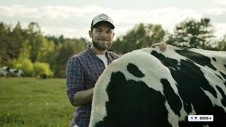 Information about Holstein Friesian Cow  Documentary [upl. by Naryk]