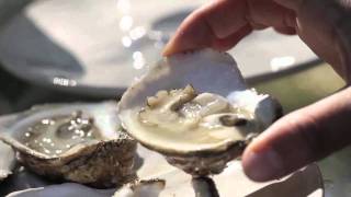 Oysters with Karen Rivara [upl. by Filmer107]