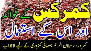 kamarkas gond  Gond Dhak ke heran kun fawaid By Hakeem Zia Shahid [upl. by Macur]