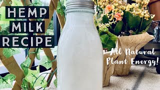 Easy Hemp Milk Recipe for Plant Energy Boost🌱🥛 [upl. by Polk]