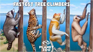 Planet Zoo Animals Climbing Race  Amur Leopard Proboscis Monkey Lar Gibbon Raccoon [upl. by Emilie]