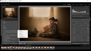 INSTALL PRESETS NEW LIGHTROOM CLASSIC [upl. by Notlek]