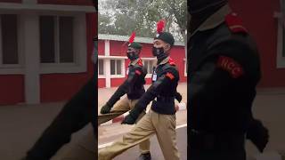 Republic day camp 2024 ncc cadets dg ncc delhi cantt ncc ncccamp [upl. by Aihsyak670]