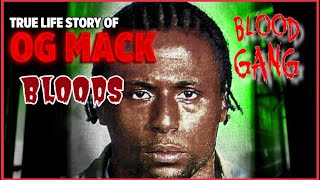 TRUE LIFE STORY OF OG MACK AKA OMAR PORTEE  THE UNITED BLOOD NATION UBN FOUNDER [upl. by Ahsit]