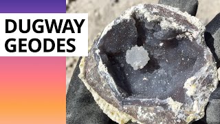 Rockhounding Western Utah  Dugway Geodes [upl. by Suriaj]