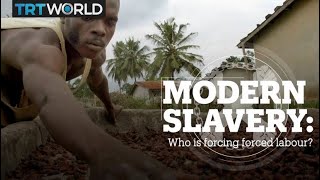 Modern Slavery Who is forcing forced labour [upl. by Artina]