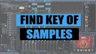 TOP 3 Plugins To Find The Key Of A Sample In Any DAW [upl. by Oniotna]