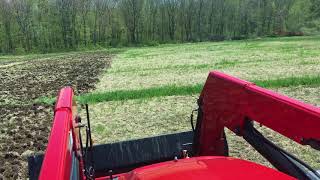 Massey Ferguson 6713 with Sunflower 1212 Disc Harrow [upl. by Bodwell]