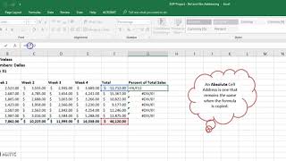 Excel Relative vs Absolute Addressing [upl. by Frasquito]