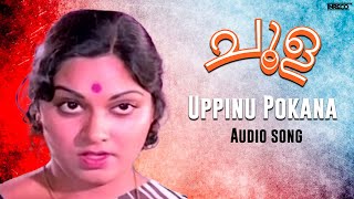 Choola  Uppinu Pokana  A Timeless Classic Melody  Jency amp Lathika  M Ravindaran Malayalam Song [upl. by Liborio]