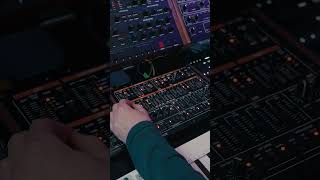 Ambient pattern with TALJ8 amp SFC8 ambientmusic synthesizer soundforce sfc8 ableton [upl. by Simonette27]