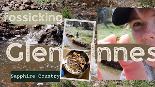 Fossicking Glen Innes New England NSW Australia  Sapphires Zircons and Topaz [upl. by Myrvyn280]