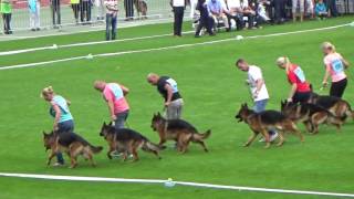 2016 SV BSZS Nuremberg part 73 GHK Ruden Ring part 1 [upl. by Ahseikram]