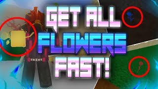 HOW TO GET ALL 3 FLOWERS FAST  RACE PROGRESSION QUEST V2  BLOX PIECE UPDATE 8  ROBLOX [upl. by Yenattirb]