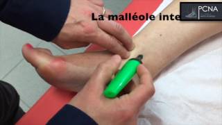 TUTORIEL ANATOMIE CHEVILLE [upl. by Eniarrol]