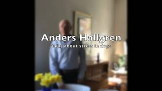 Official Trailer Anders Hallgren on Stress amp Anxiety in Dogs [upl. by Eada]