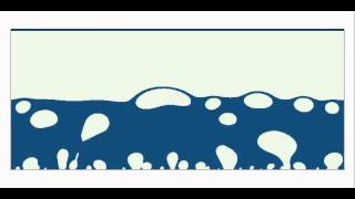 Lattice Boltzmann Method LBM simulation  Nucleate boiling [upl. by Scribner]