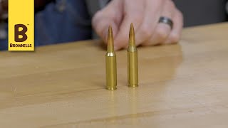 Quick Tip 65 Creedmoor vs 260 Remington [upl. by Gery431]