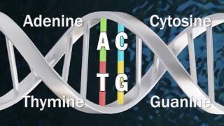 DNA Methylation [upl. by Sweet]