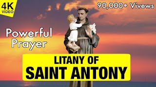 LITANY OF SAINT ANTONY  4K VIDEO  SAINT ANTONY PRAY FOR US [upl. by Heeley]