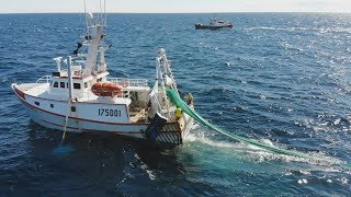 Vivre de la mer  Pêche du homard [upl. by Tiat]