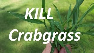 THE CRABGRASS CONTROL VIDEO  Pre and Post Emergent [upl. by Lipcombe]