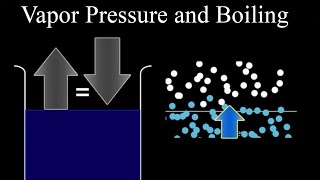 Vapor Pressure and Boiling [upl. by Borchert]