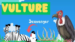 Vultures For Kids  Discovering the World of Vultures Fun Facts for Kids [upl. by Hennessey]