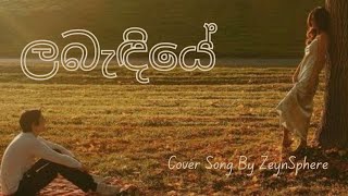 Labandiye  Sinhala Teledrama Part 16 [upl. by Eecyak]