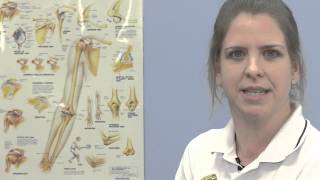 Shoulder Pain Advice iTrust NHS Physiotherapy from Ipswich Hospital [upl. by Legge]