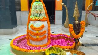 Neeleshwar Mahadev Darshan [upl. by Africa]