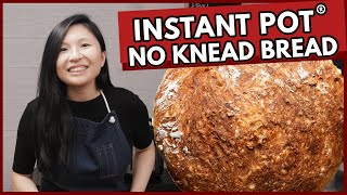 Instant Pot Bread 15  Easy 4Ingredient No Knead Bread [upl. by Lamoree968]