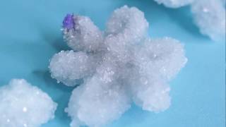 How to Make Borax Crystal Snowflakes [upl. by Felise]