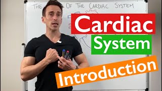 Introduction to the Cardiac System [upl. by Giguere745]