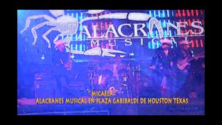 MICAELA  ALACRANES MUSICAL EN VIVO  EN PLAZA GARIBALDI DE HOUSTON TEXAS [upl. by Luapsemaj]