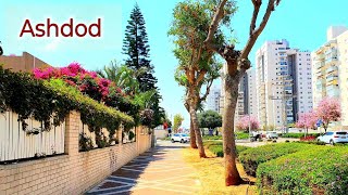 Ashdod Walking Tour Springtime Beautiful Israel [upl. by Atnohsal]