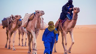 The origins of Berbers  Amazigh Indigenous people of North Africa [upl. by Stoeber142]