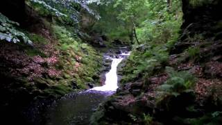 Ardennen  Ardennes Hockai Wandelen  Hiking  Fleet Foxes [upl. by Papp]