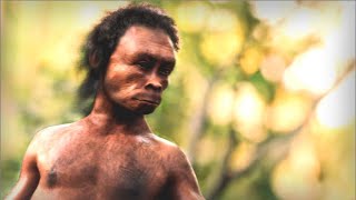 Homo Naledi  Ancient Human [upl. by Ellinej333]