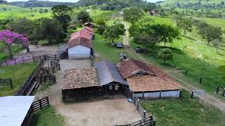 Fazenda Macauba Cedro do Abaeté  Minas Geais [upl. by Malha]