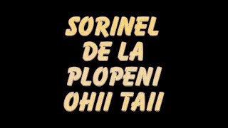 SORINEL DE LA PLOPENI OCHII TAI [upl. by Eleon]